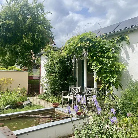 Haeuschen Mit Gartenblick Апартаменты Идштайн